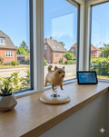 Hund – Kinesisk stjernetegn vippedyr - Loyalitet, tryghed og ærlighed.
